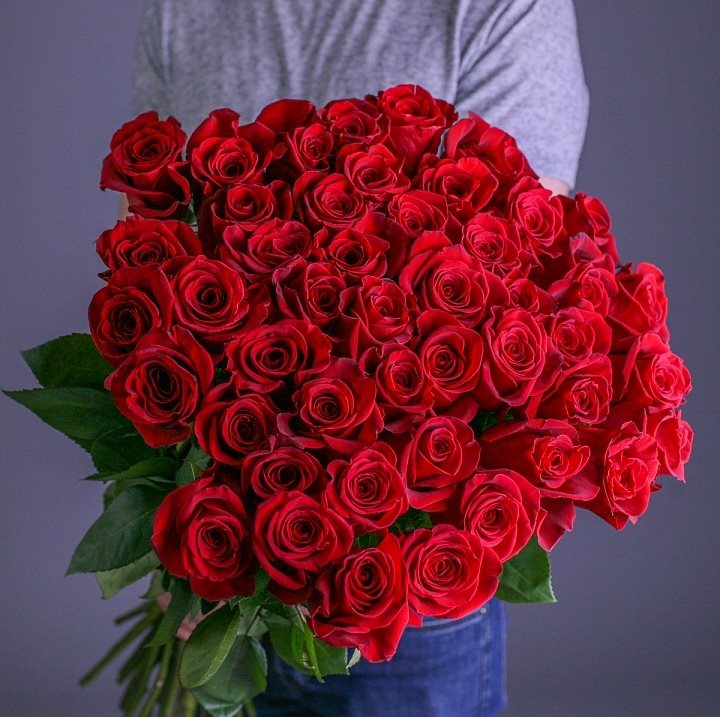 41 роза  Фридом от 40 - 80 см