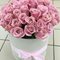 51 белая, розовая роза в шляпной коробке (Эквадор)