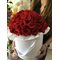 51 розу красную в шляпной коробке (Эквадор)