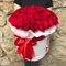 51 розу красную в шляпной коробке (Эквадор)