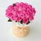 25 розовых роз в шляпной коробке (Эквадор)