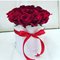 19 красных роз в шляпной коробке ( Эквадор )