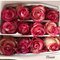 25  роз  розовые в банче