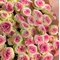 Букет из 15 пионовидных роз « Gelato »