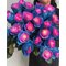 25 синих роз  Tinted  Blue Эквадор