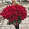 151  красная роза 60 см