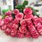 25 бело-розовые розы "Карусель"