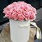 51 белая, розовая роза в шляпной коробке (Эквадор)