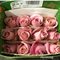25  роз  розовые в банче