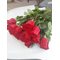 Букет 15 красных роз в упаковке 60 см