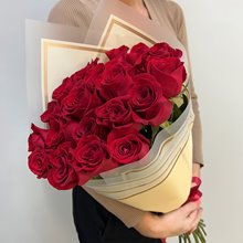 21 роза Фридом 60 см в упаковке