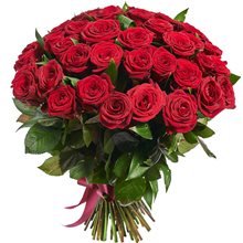 51 красная роза 40-50 см