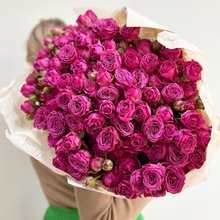 25 пионовидных роз Классик Сеншейнен