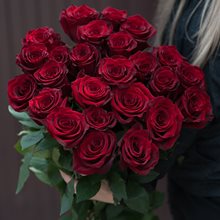 25 роз "Эксплорер" 50 - 80 см.