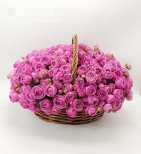 Букет из 75 пионовидных кустовых роз в корзине
