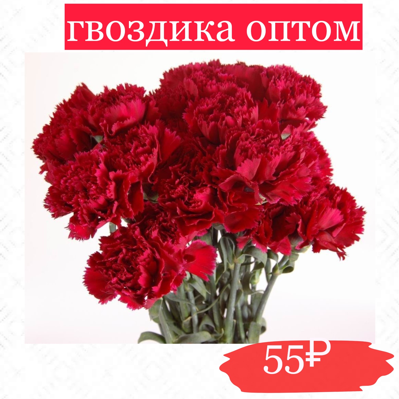 Купить розы дёшево Эквадор 104 руб. Доставка роз СПб 🌹SPBROSA - Доставка  роз Эквадор СПб. Купить розы от 62 руб. 25 роз дёшево в СПб от 1900 руб.  Купить 25 роз Эквадор