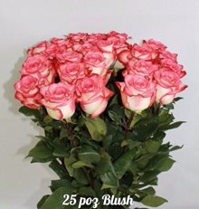 Розы BLUSH