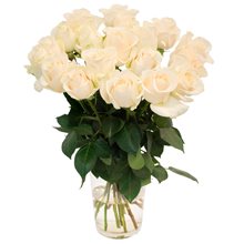 15 белых роз - сорт Прауд