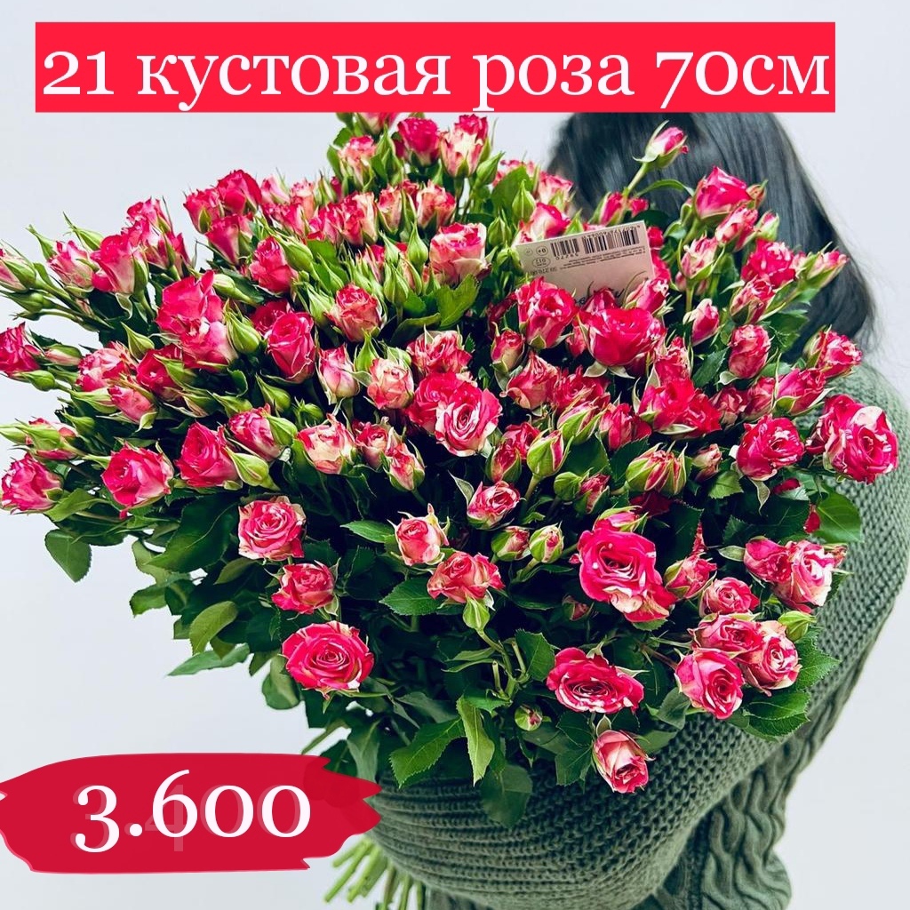 Купить розы дёшево Эквадор 104 руб. Доставка роз СПб 🌹SPBROSA - Доставка  роз Эквадор СПб. Купить розы от 62 руб. 25 роз дёшево в СПб от 1900 руб.  Купить 25 роз Эквадор