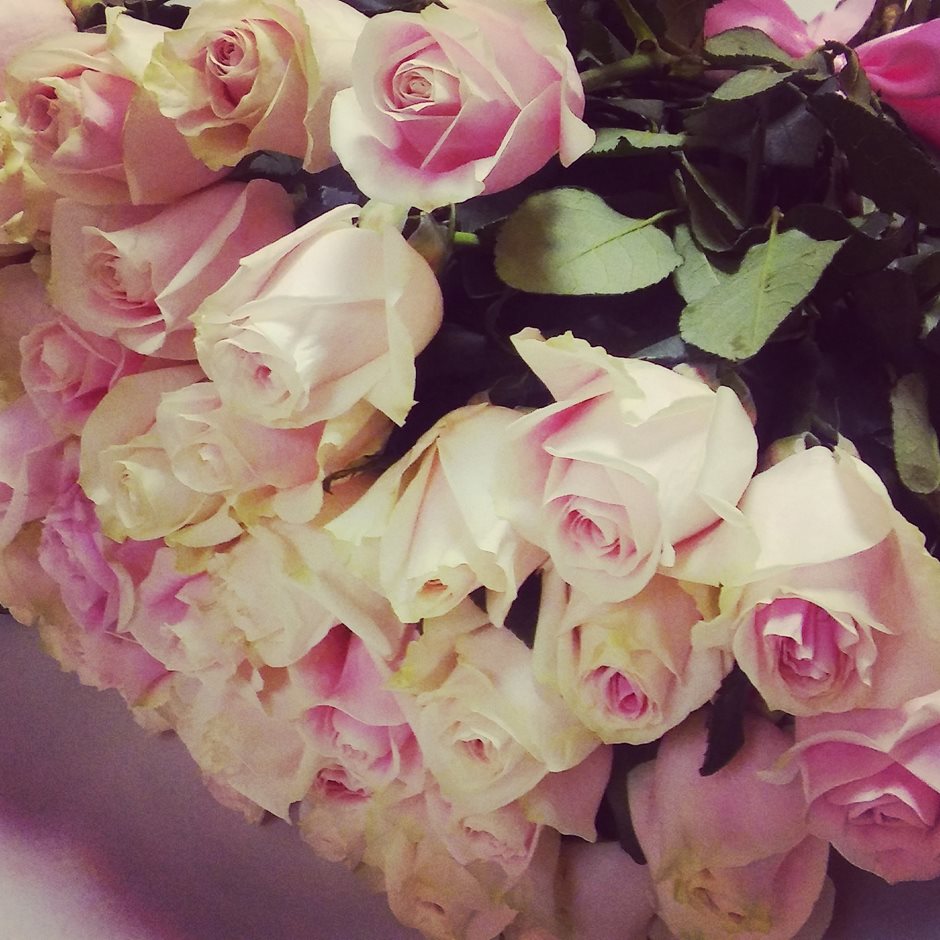Роза белая с розовым 