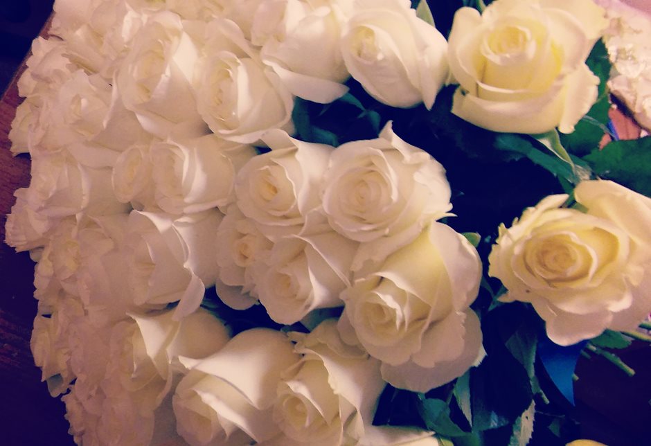 Белая роза Эквадор 