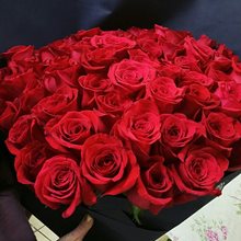 51 роза 60 см 