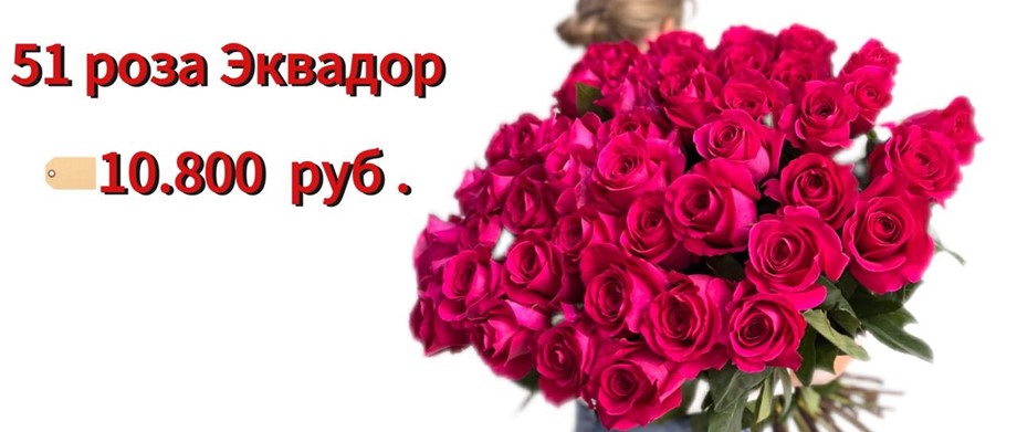51 роза Пинк Флойд 80 см 