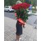 25 роз 70 см " Фридом"