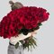 101 КРАСНАЯ роза 60 см