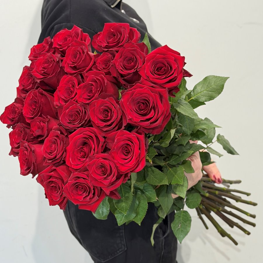 25 роз "Эксплорер" 50 - 80 см.