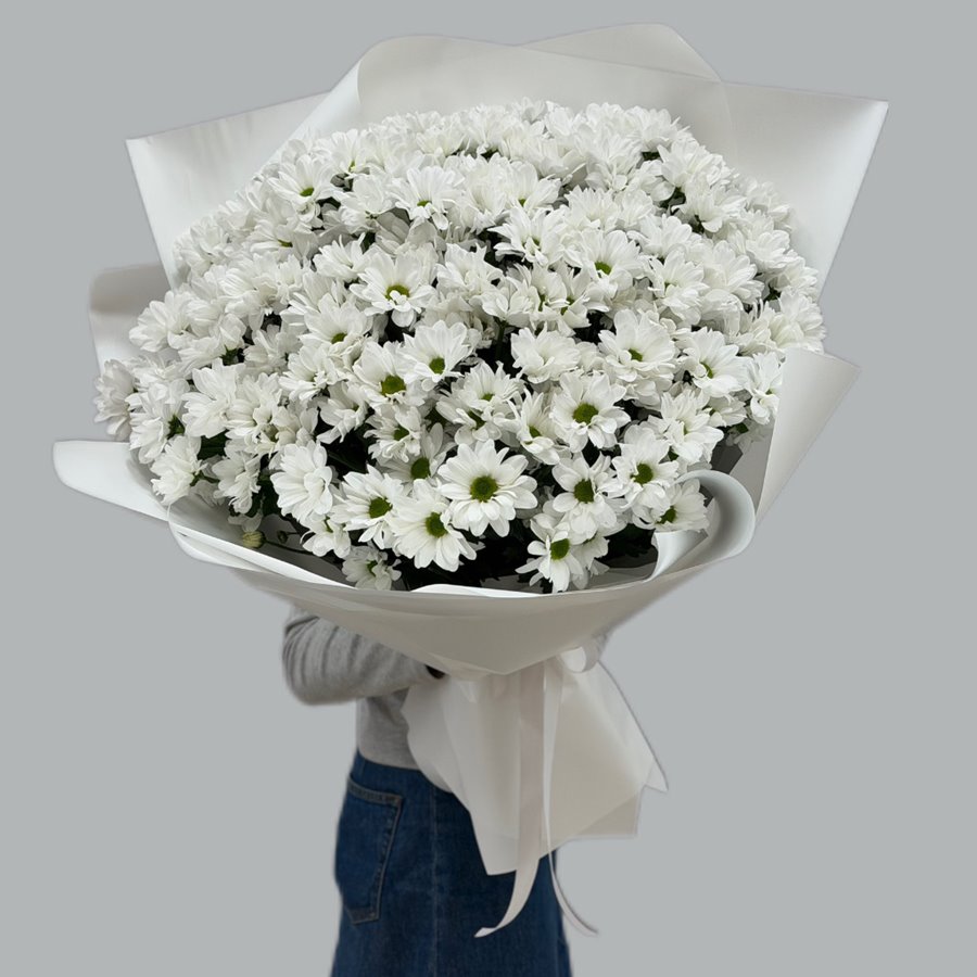 25 хризантем ромашка  в упаковке