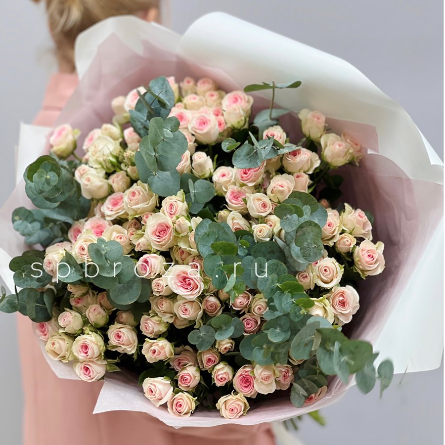 25 кустовых роз Гуд Муд с эвкалиптом