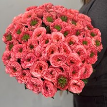 Пионовидная роза Мандарин Экспрешн 49 шт