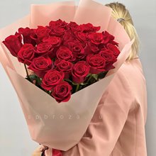 25 красных роз Freedom в упаковке