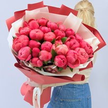 29 пионов Coral Charm