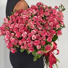 25 кустовых роз Фаерворкс 70 см