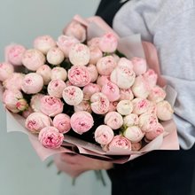 11 пионовидных кустовых роз Мэнсфилд Парк