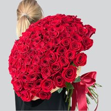 101 КРАСНАЯ роза 50 см