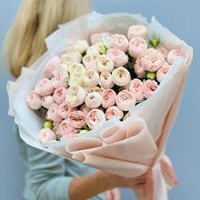 17 пионовидных кустовых роз Мэнсфилд Парк