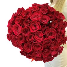 Купить 51 роза  КРАСНАЯ  50 см