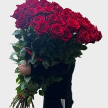 Купить 51 роза  100 см