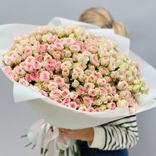 75 кустовых роз Гуд Муд