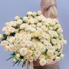 35 пионовидных роз Саммер роуз