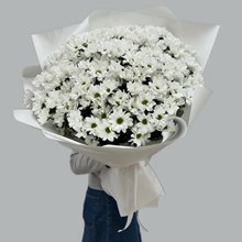 25 хризантем ромашка  в упаковке