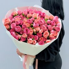 21 пионовидная роза кустовая " Жизель и Фемки"