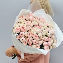 25  пионовидных роз нежно-розовых роз Мэнсфилд Парк