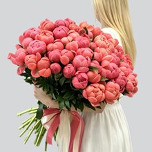 Букет из 51 кораллового пиона Coral Sunset Premium под ленту