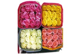 Оптовая упаковка 25 роз Эквадор 60 см