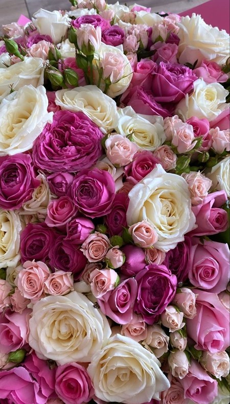 Кустовые розы СПб