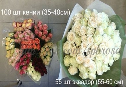 чем отличается роза кения от российской розы 